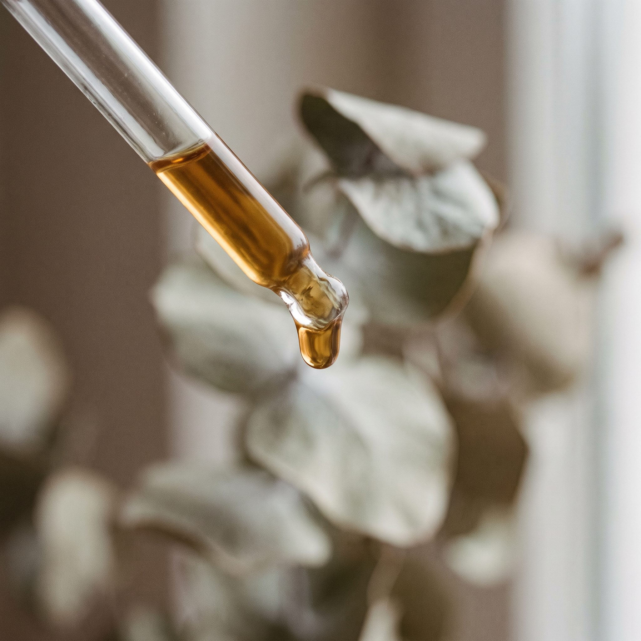 A drop of oil suspended at the tip of a glass dropper